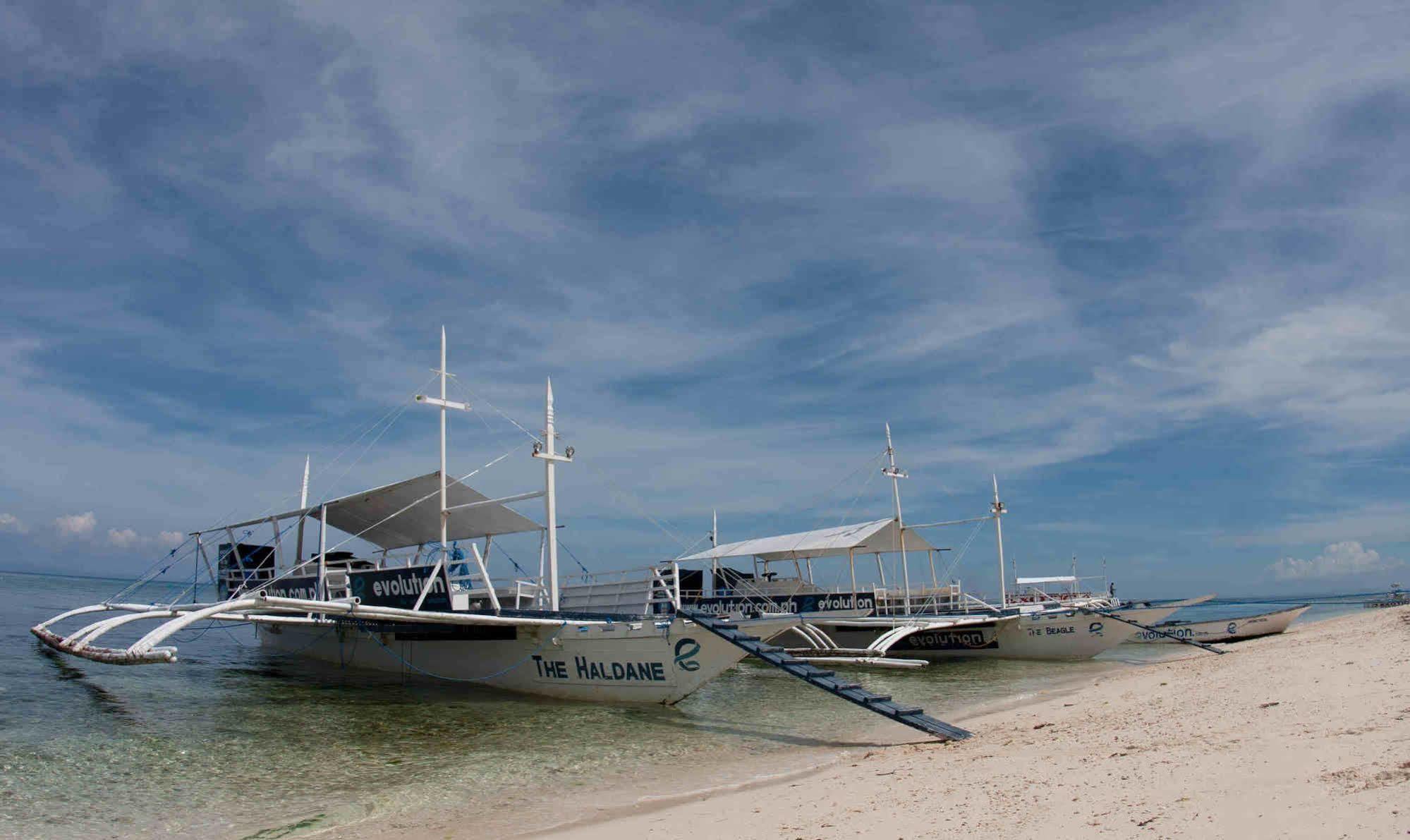 Evolution Dive And Beach Resort Малапаскуа Айлънд Екстериор снимка