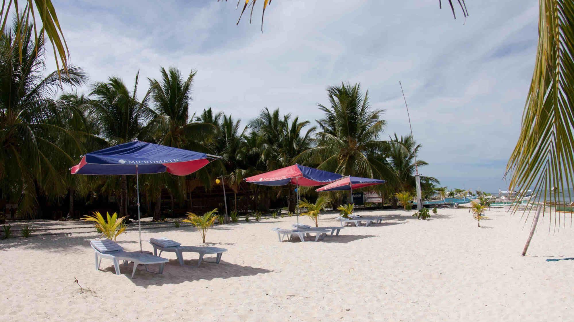 Evolution Dive And Beach Resort Малапаскуа Айлънд Екстериор снимка